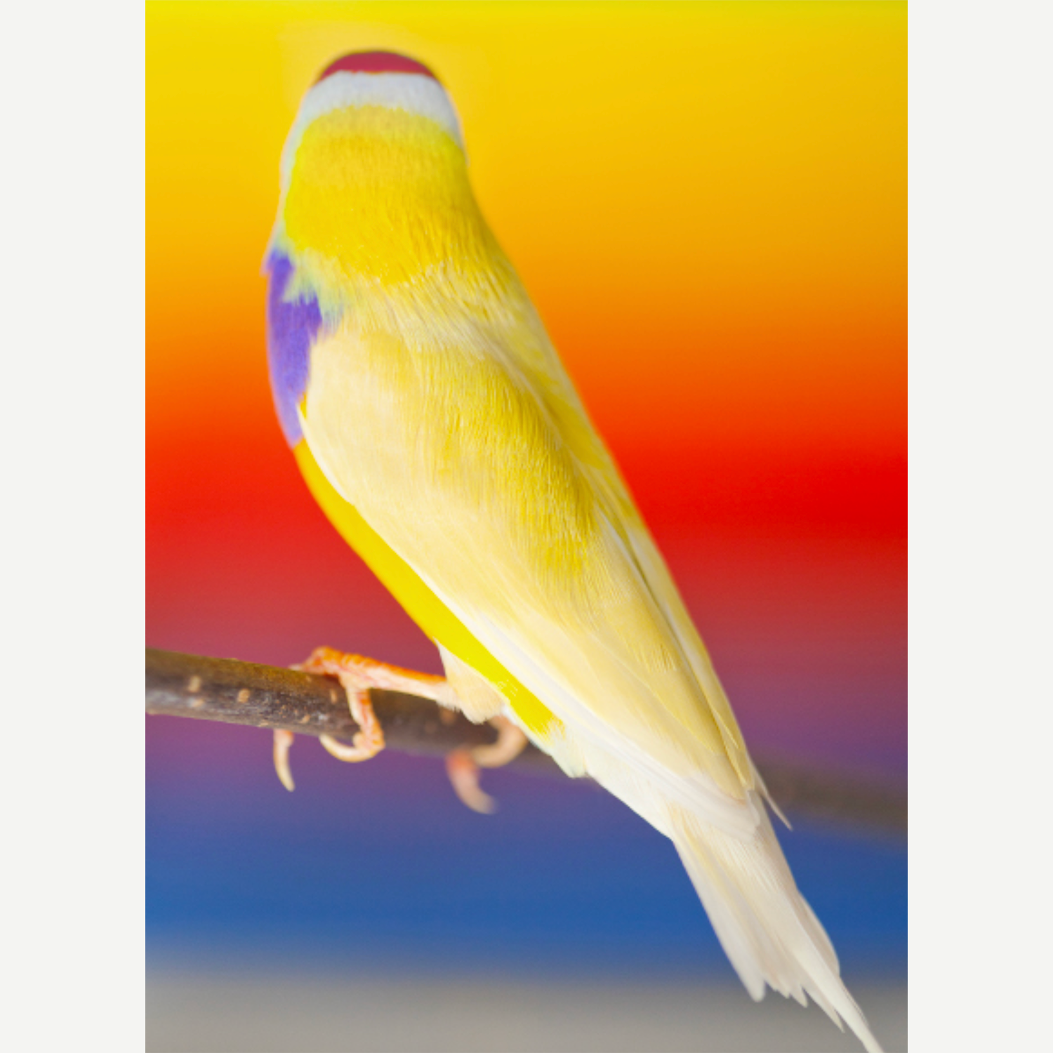 Photographie et illusion : comment voir autrement ?