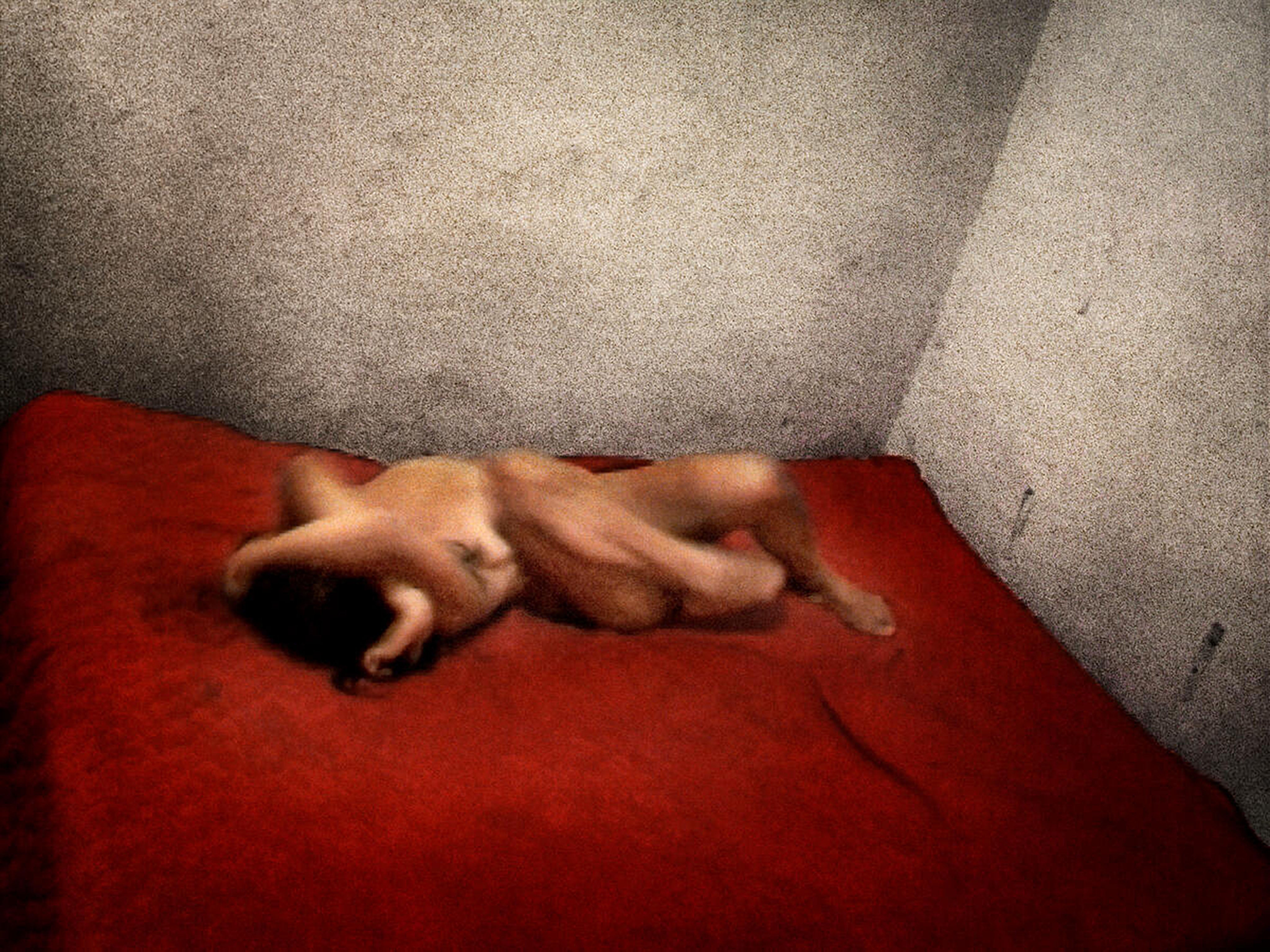 La limite de l'acte photographique