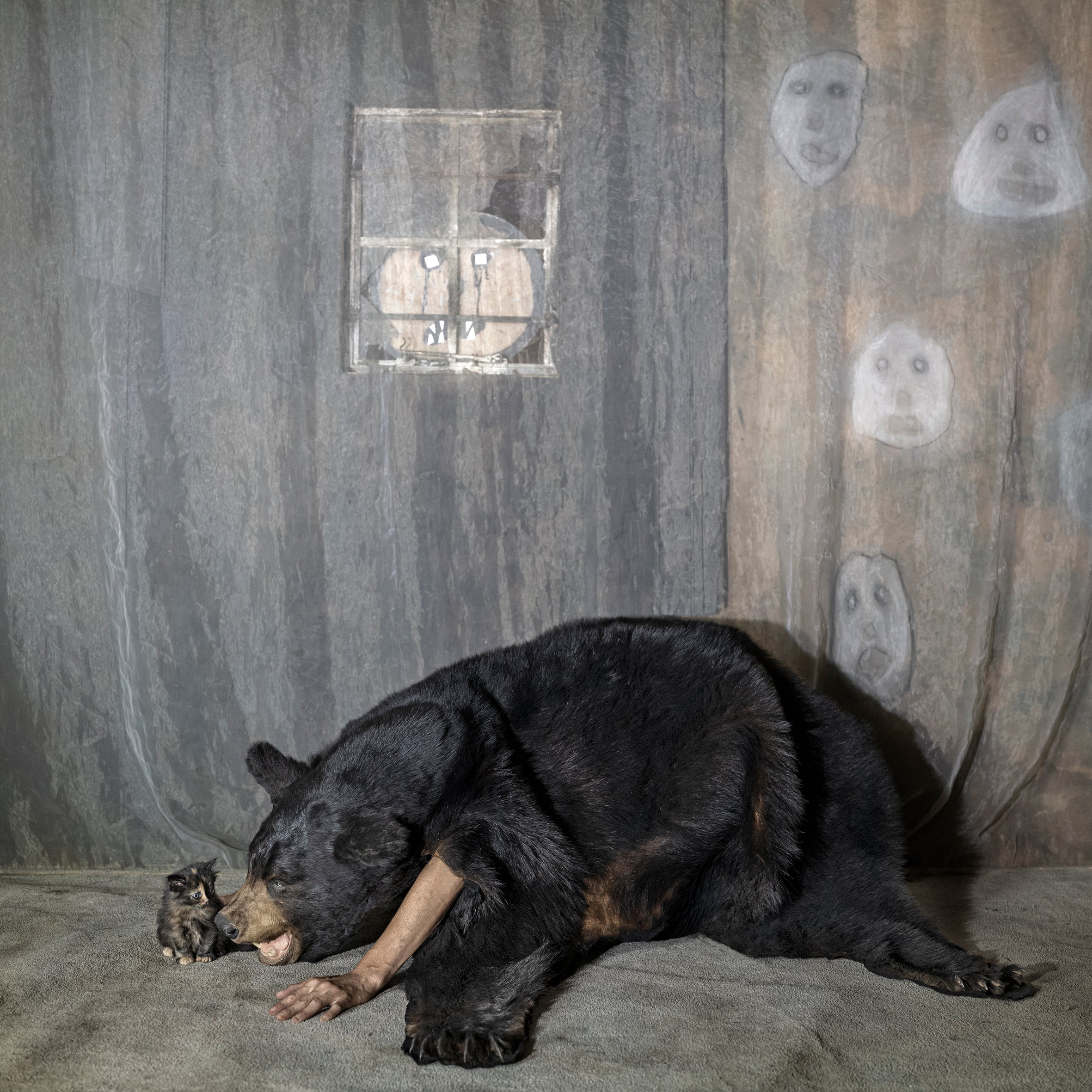 The Psychology of Photography