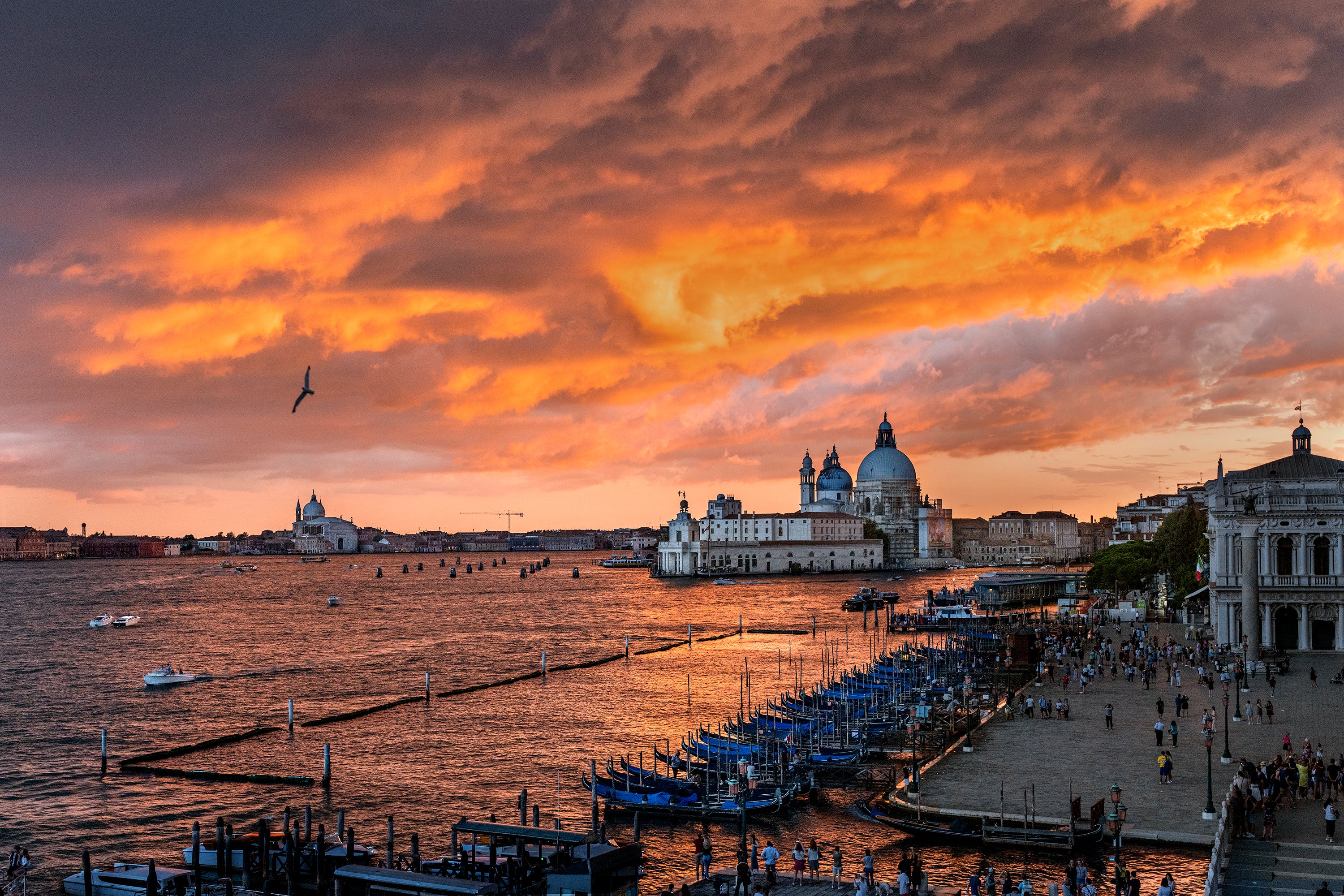 Steve McCurry