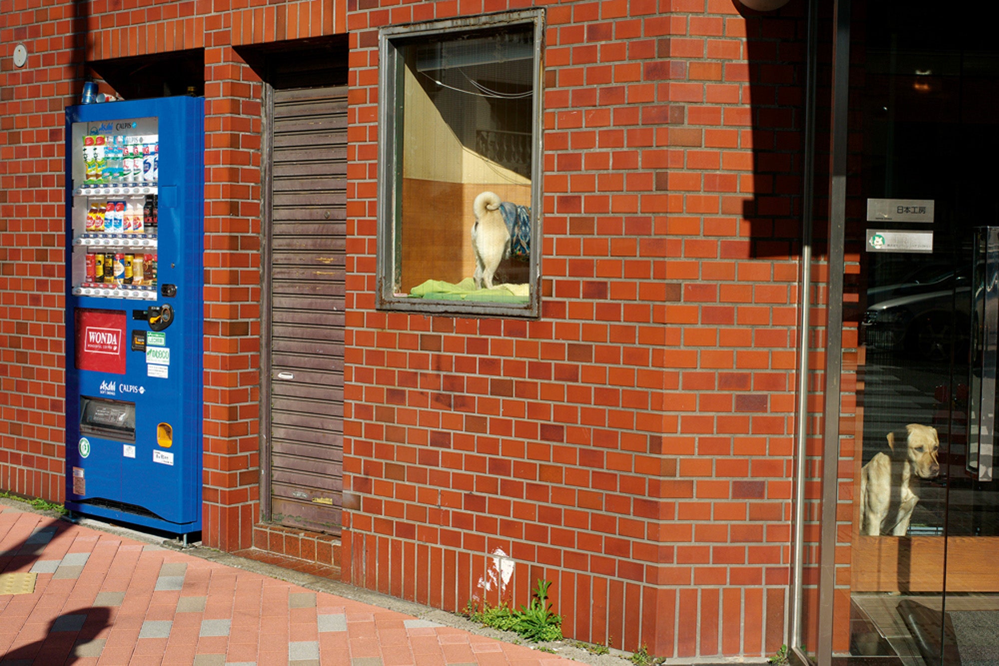 Stage de photographie de rue – Les légendes de Venise