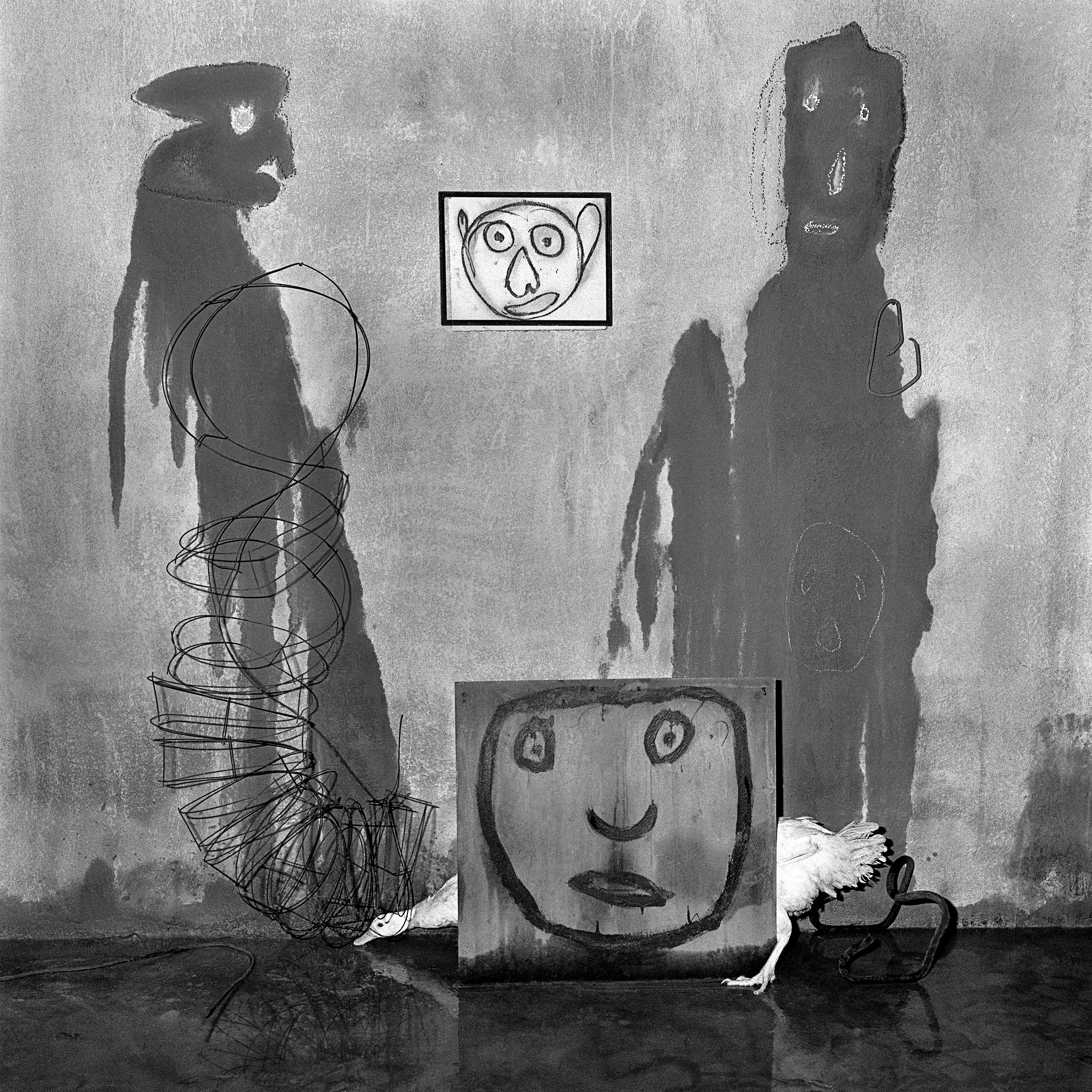 Roger Ballen - The Psychology of Photography