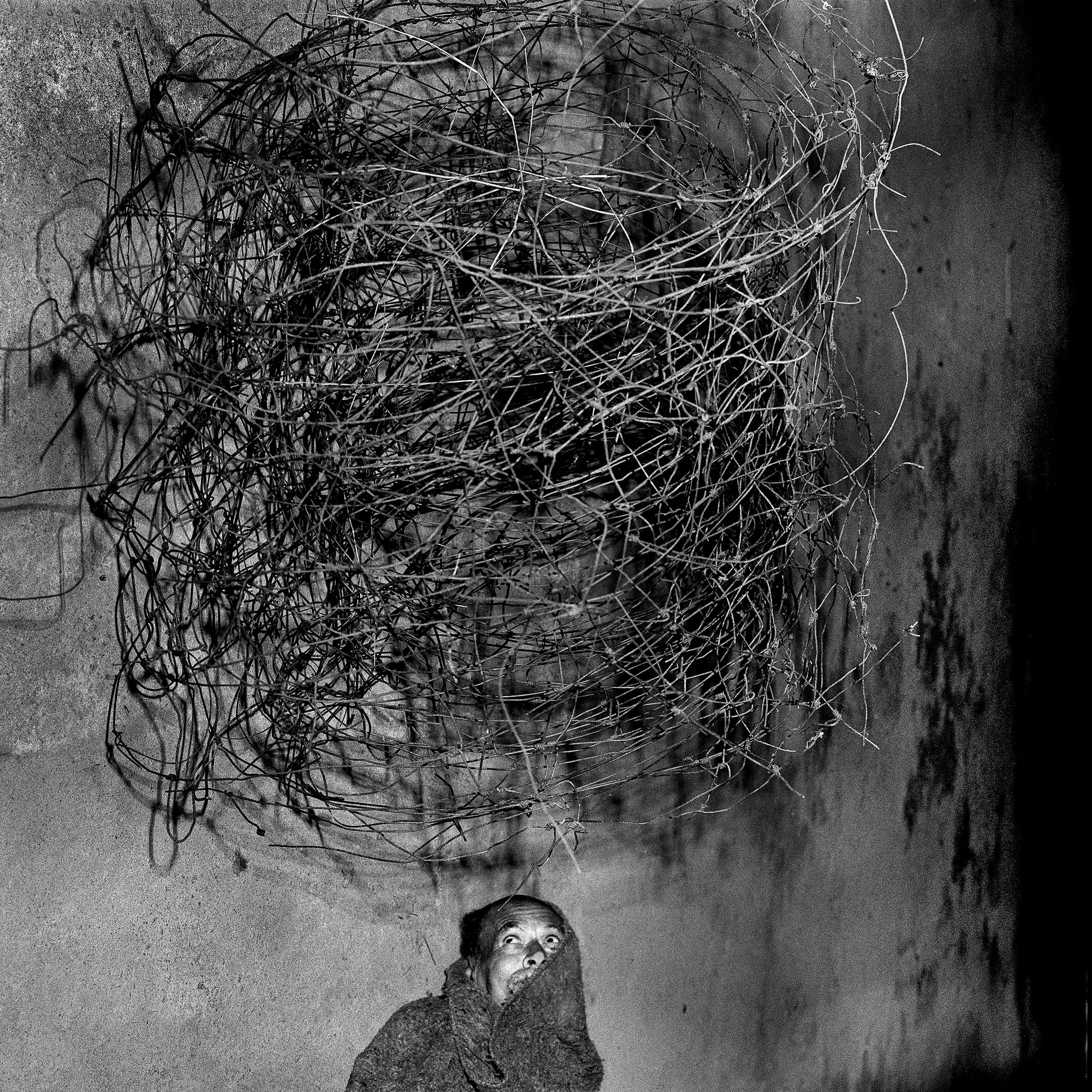 The Psychology of Photography