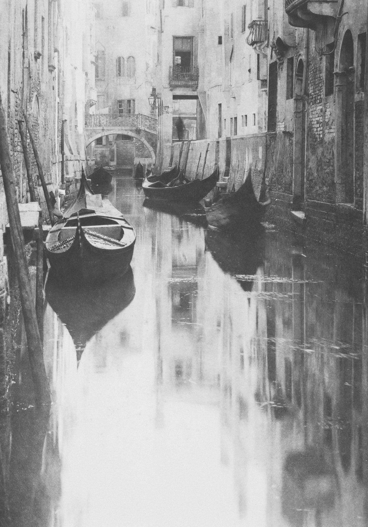 Venice Analogue