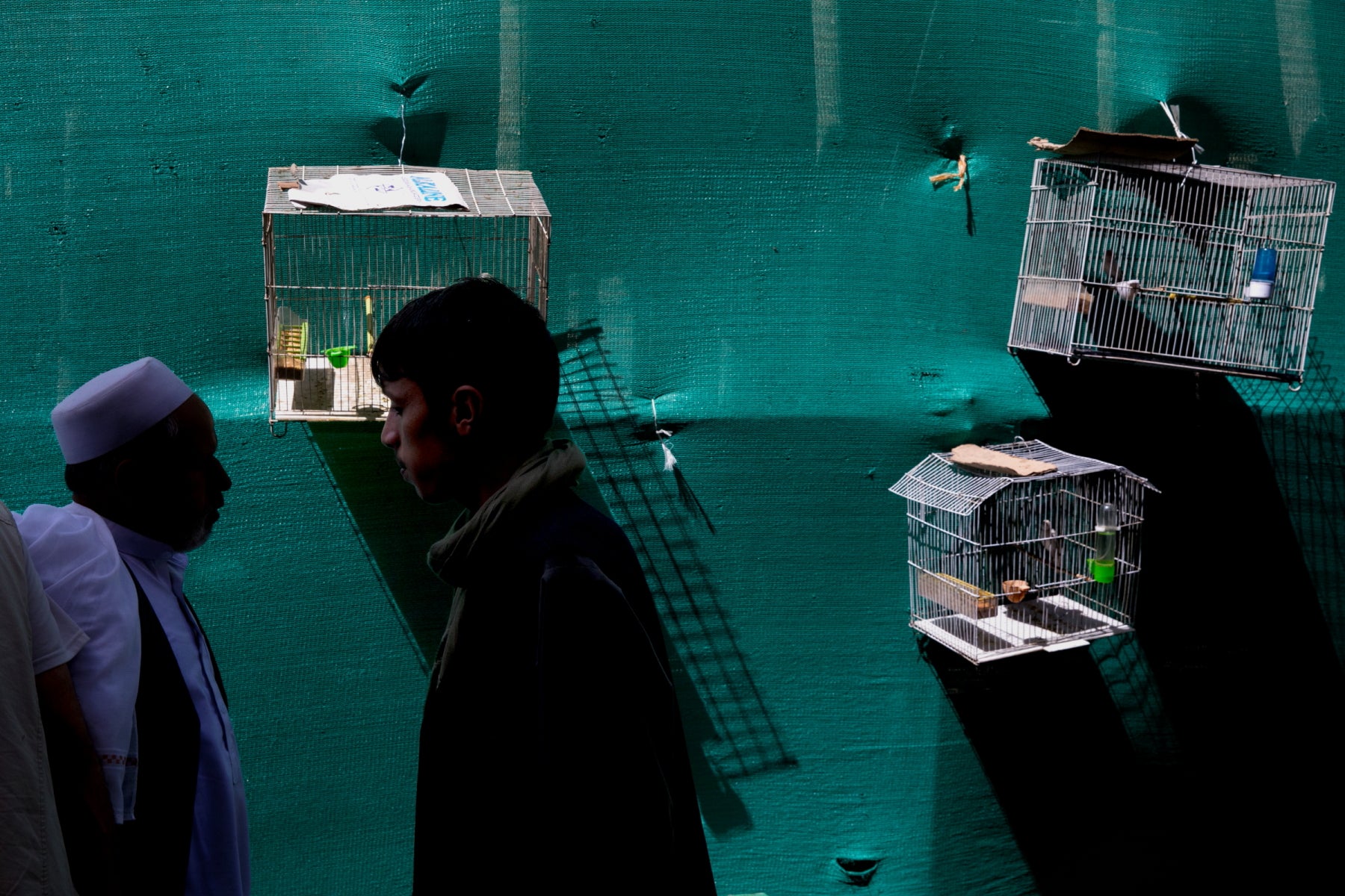 Photojournalism Workshop – Reportage in Color