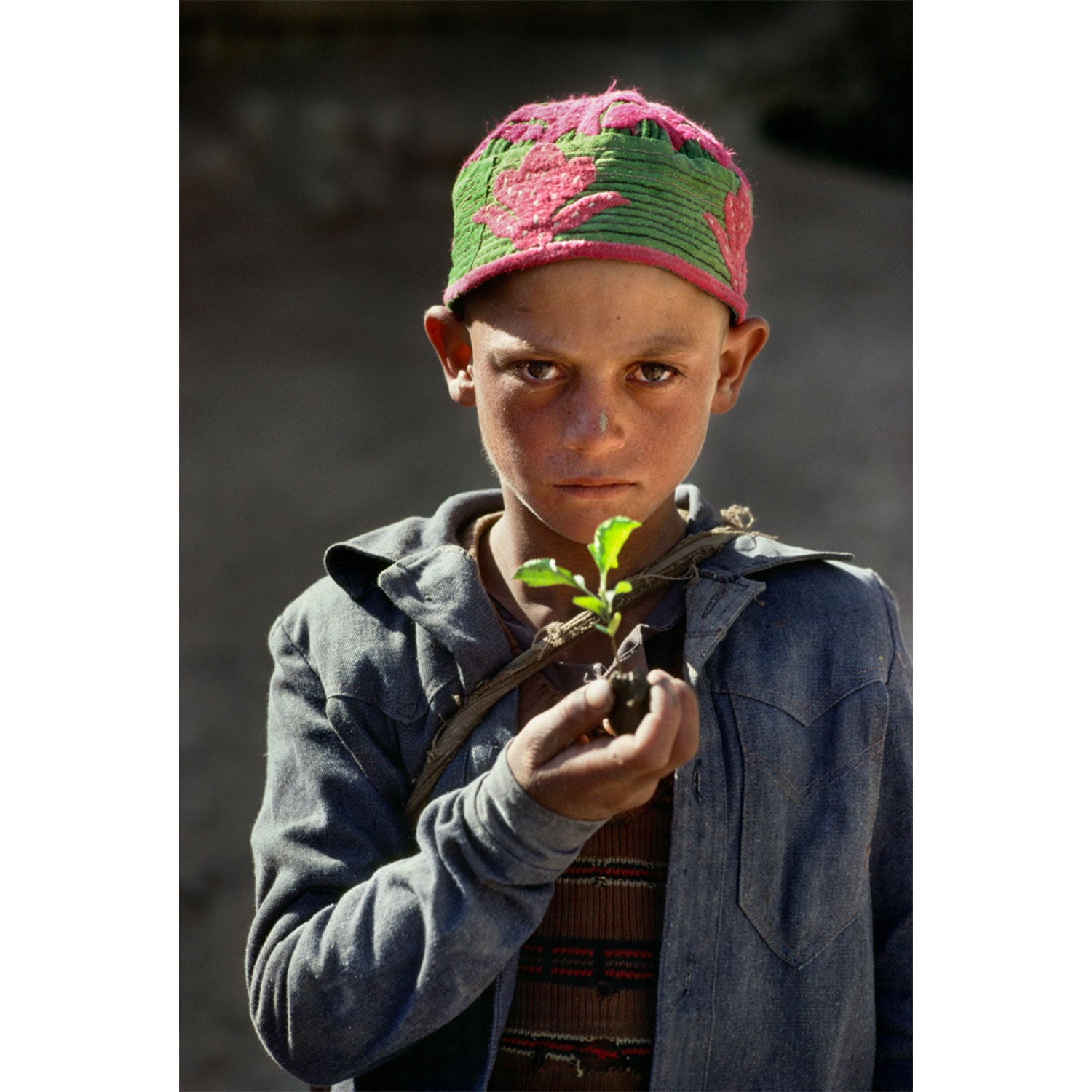 Atelier de portrait et de narration