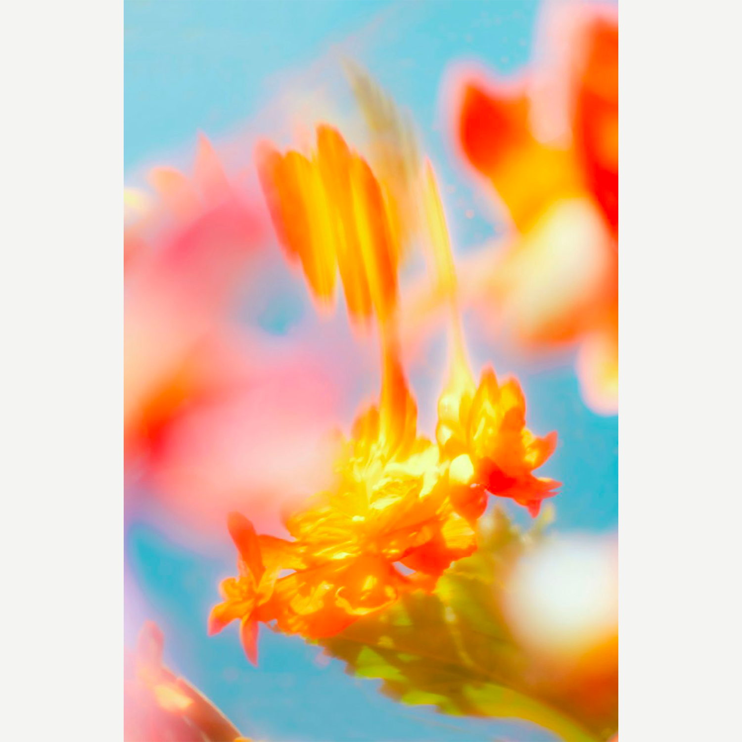 Photographie et illusion : comment voir autrement ?