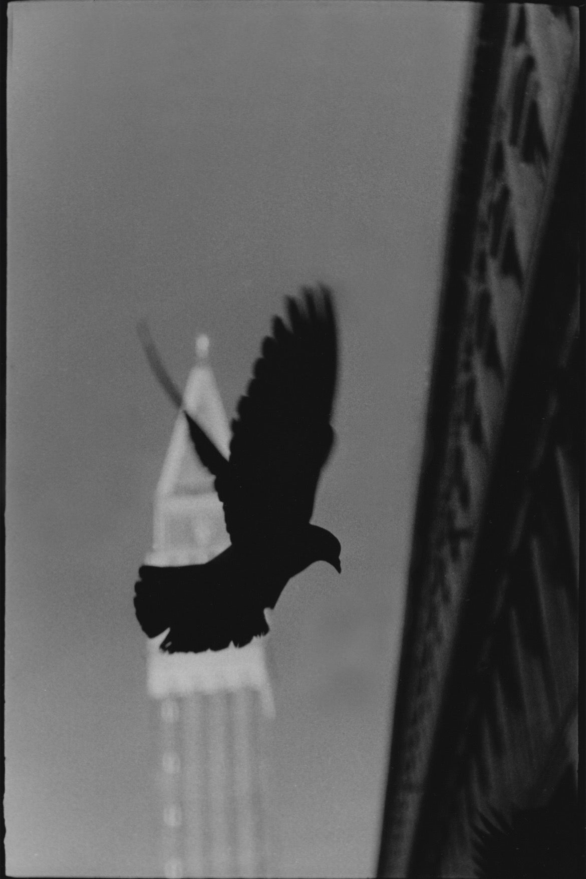 Giacomo Brunelli