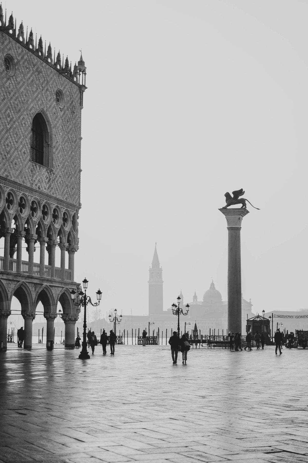 Venice Analogue