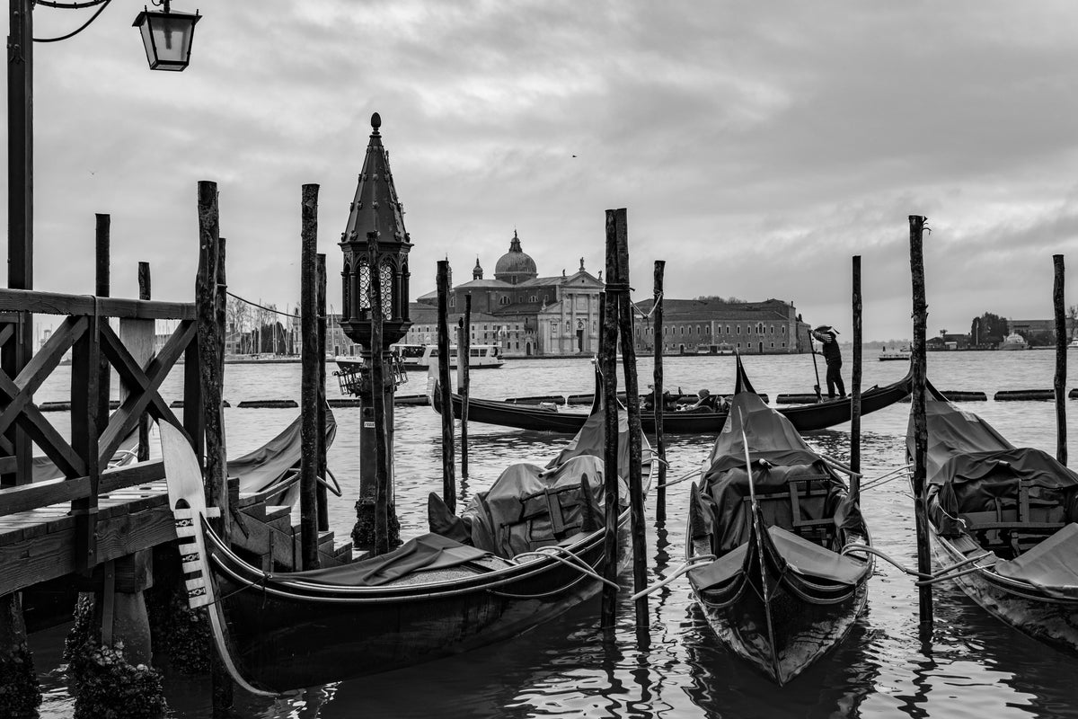 Venice Analogue